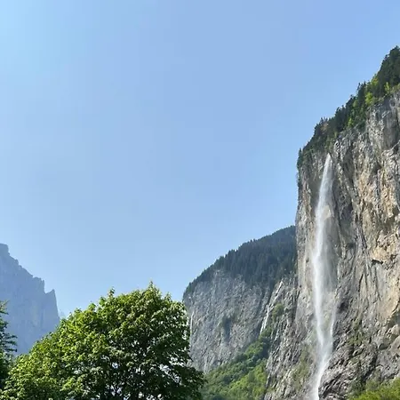 Maithili -152-year-old Majestic *