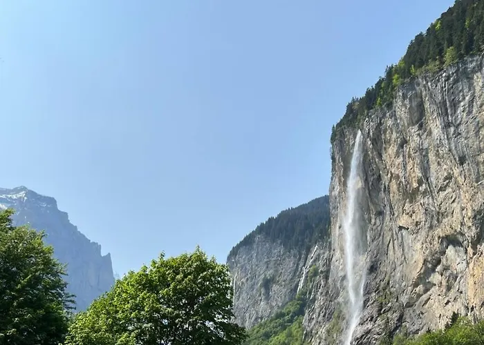 Maithili -152-year-old Majestic *