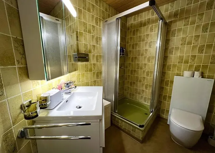 シャレー Maithili -152-year-old Majestic ラウターブルンネン