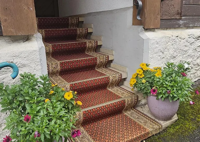 シャレー Maithili -152-year-old Majestic *