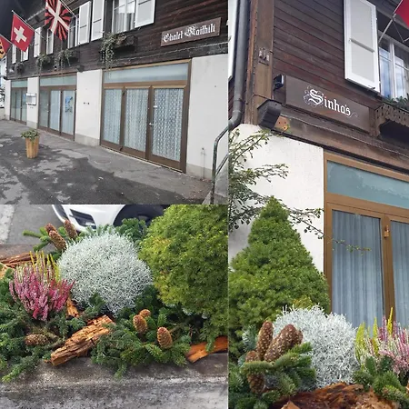 Maithili -152-year-old Majestic Lauterbrunnen