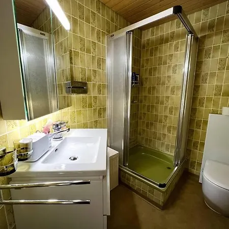 Chalet Maithili -152-year-old Majestic Lauterbrunnen