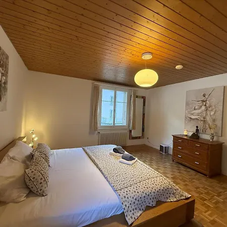 Maithili -152-year-old Majestic Chalet Lauterbrunnen